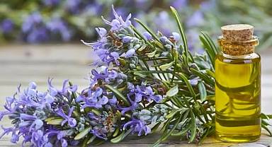 Biberiye yağının faydaları