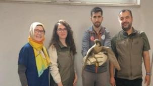 Denizli Büyükşehir Belediyesi yaralı akdoğanı hayata döndürdü
