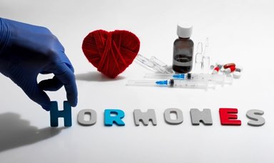 Hormonlar vücudun orkestra şefleri
