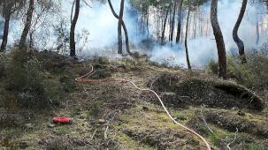 Kemer Belediyesi yangına karşı seferber oldu