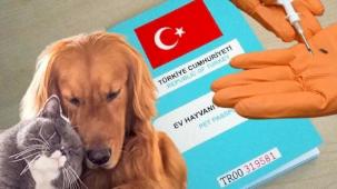 Kimliklendirilmeler yıl sonuna uzatıldı!