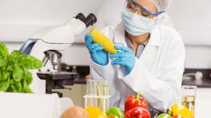 Mikotoksin analizlerinde AB uyumlu yeni kriterler netleşti