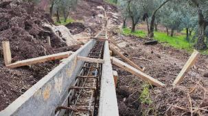 Patili canlar yeni yuvalarına kavuşuyor