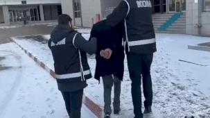 Suç örgütü üyesi 79 şüpheli yakalandı