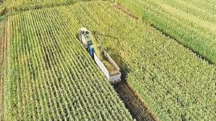 Tarım Arazilerini Etkinleştirme projelerini destekleyecek karar Resmi Gazete'de