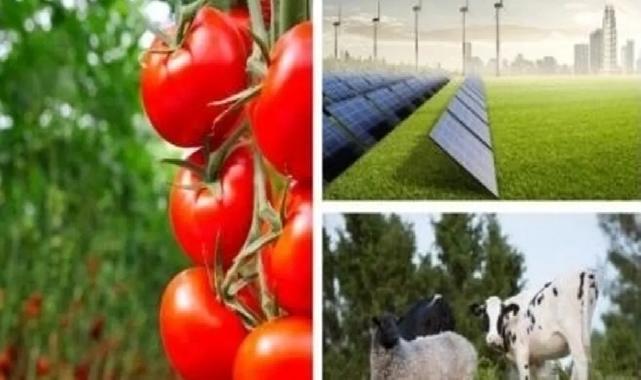 Tarımda yeni destek dönemi: Yatırımlara yüzde 50 hibe fırsatı!
