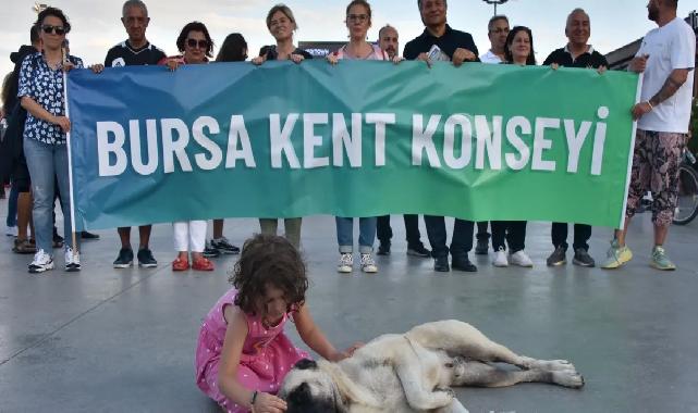 Bursa Kent Konseyi'nden Gemlik'teki yavru kedi vahşetine kınama!