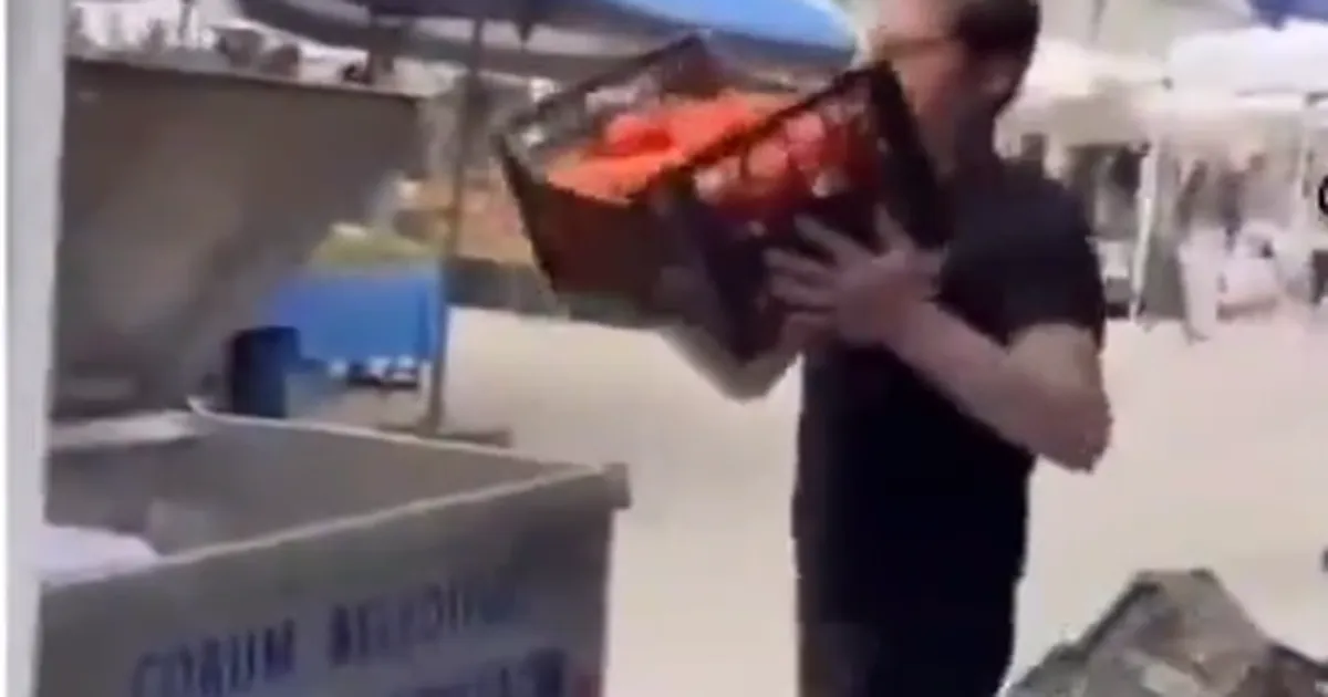 Kasalarca domatesler çöpe döküldü! Cezasız kalmadı!