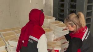 Bayrampaşa'da dev gıda denetimi... 35 ton peynire el kondu!