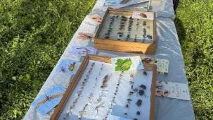 Bursa Osmangazi'de ‘Böcek Bilim’ buluşması yapıldı