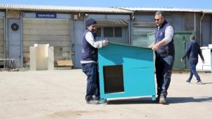 Eskişehir Büyükşehir'den hayvan bakımevi hazırlığı