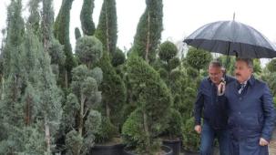 Kayseri Melikgazi'den geleceğe dev miras