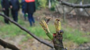Mudanya'da soğuk hava üretimi yaktı!