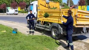 Yalova'da yeşil alan bakımı sürüyor