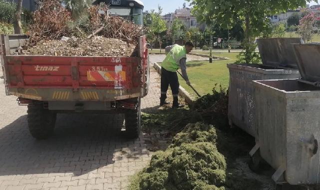 İzmir Güzelbahçe'de yaz temizliği