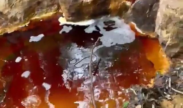 Sivas'ta yeni çevre felaketi! Dere kırmızıya boyandı!
