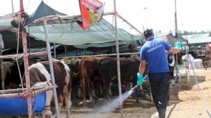 Antalya Büyükşehir kurban satış noktalarını ilaçlıyor
