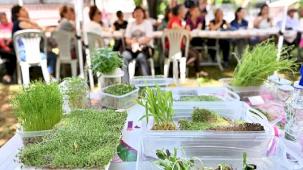 Antalya Muratpaşa'da minyatür bahçeler şekillendi