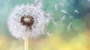 Bahar ayları çocuğunuza kâbus olmasın! Çocuklarda alerjik nezle alarmı!