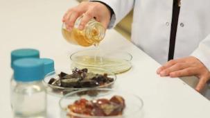 BTÜ'den ürünlerin raf ömrünü uzatacak doğal ambalaj