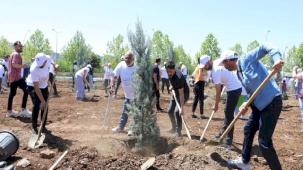 Diyarbakır'da engelliler fidan dikerek geleceğe nefes oldu