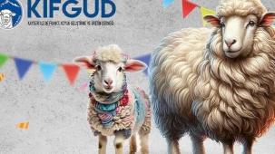 Kayseri Talas'ta France ırkına özel festival