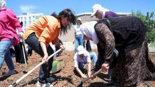 Kent Kadın Bostanları projesi Mardin Artuklu’da hayata geçti