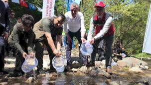 Kocaeli Kirazdere'ye 2 yılda 16 bin alabalık salındı