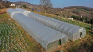 Kocaeli'den yüzde 50 hibeli sera desteği