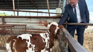 Manisa'da 'tek dam projesi' Selendi'de tanıtıldı