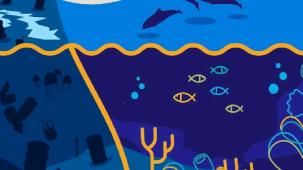 Marmara Denizi Günü bu yıl 3 Haziran’da 'ekosistem restorasyonu' temasıyla kutlanacak