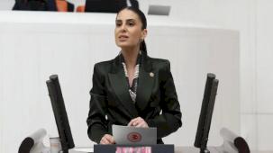 Milletvekili Özcan'dan sokak hayvanları için Bakan Yumaklı’ya önerge