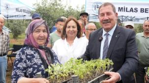 Muğla Milas’ta 300 üreticiye dağıtım gerçekleştirildi