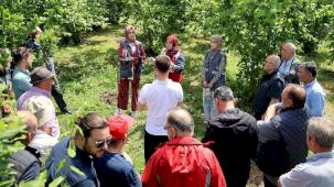 Sakarya'da çiftçilere feromon tuzağı ulaştırıyor