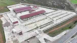 Sivas’ta kurban pazarı Kovalı'ya kuruluyor