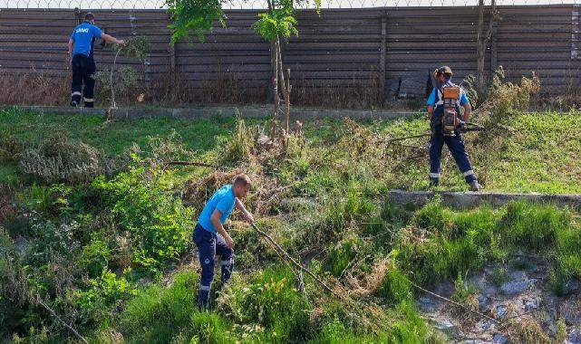 Sakarya'da 'Çark'ta hummalı temizlik