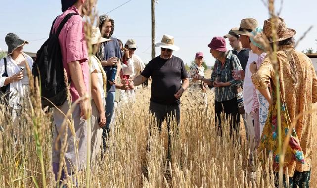 Slow Wheat Şanlıurfa 2025 coşkusu