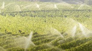 7 bin 160 tarımsal projeye 10,2 milyar TL'lik hibe