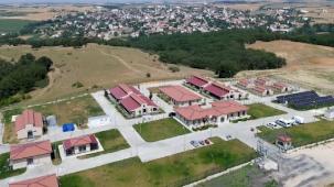 Büyükşehir sahipsiz hayvanlara umut oluyor