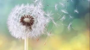 Çocuklarda polen alerjisi alarmı!