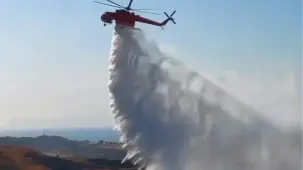İzmir Aliağa'daki orman yangını kontrol altına alındı