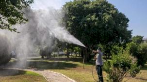 İzmir Güzelbahçe'de sezon ilaçlaması başladı