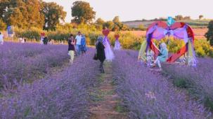 Lavanta kokusu İzmit’i saracak