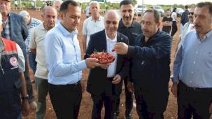 Mardin Ömerli'de doğa ve kültür buluştu