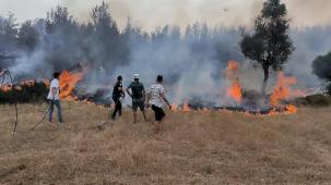 Muğla Büyükşehir ekipleri 6 Ayda 380 anız yangınına müdahale etti