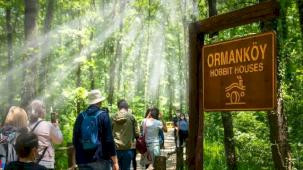 Ormanya’da yaz hazırlıkları tamam