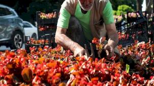 Sakarya sokaklarına güzellik katan ‘bayram’ dokunuşu