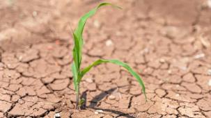 TEMA: Toprağı iyileştirmek, geleceği korumaktır