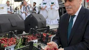 Yeşilli Kiraz Festivali’yle Mardin dünyaya tanıtılıyor