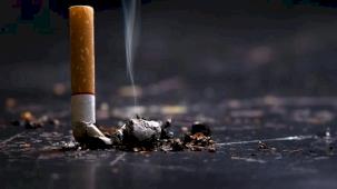 Yol kenarına atılan izmaritler yangına davetiye çıkarıyor